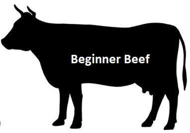 2025 - Beginner Beef: 25-30lbs