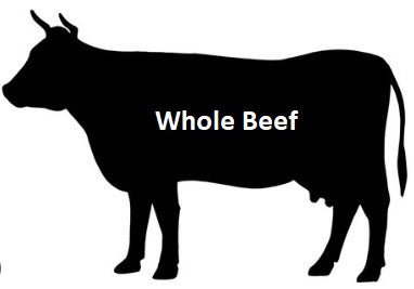 2025 - Whole Beef: 400-480lbs